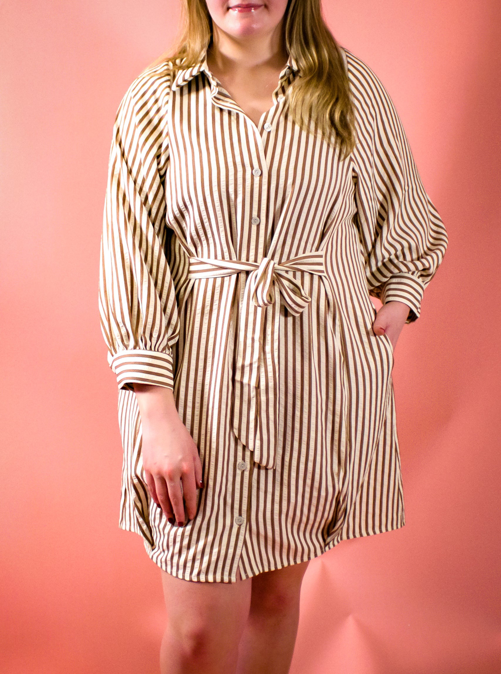 Brown and Cream Striped Dress