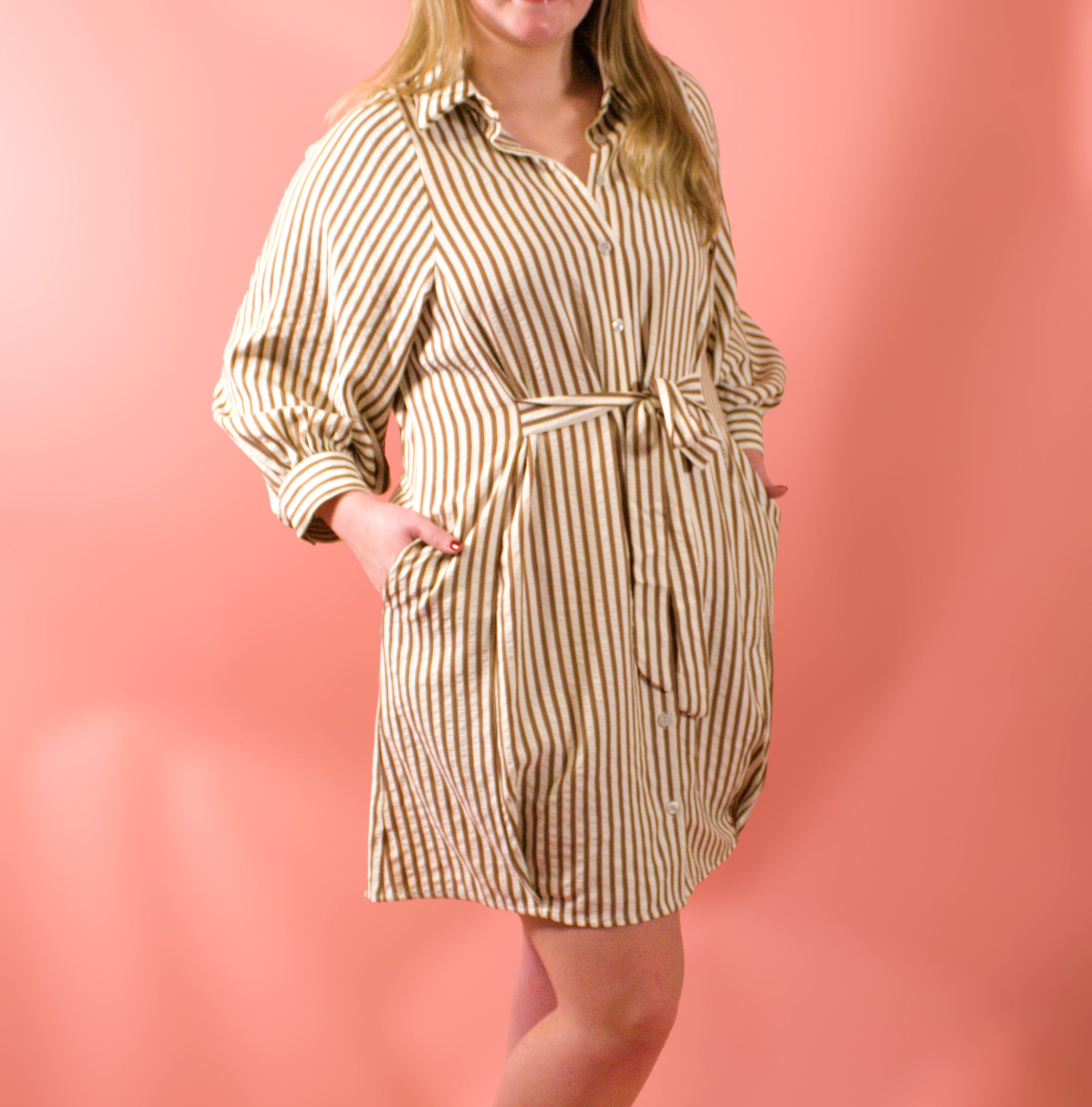 Brown and Cream Striped Dress