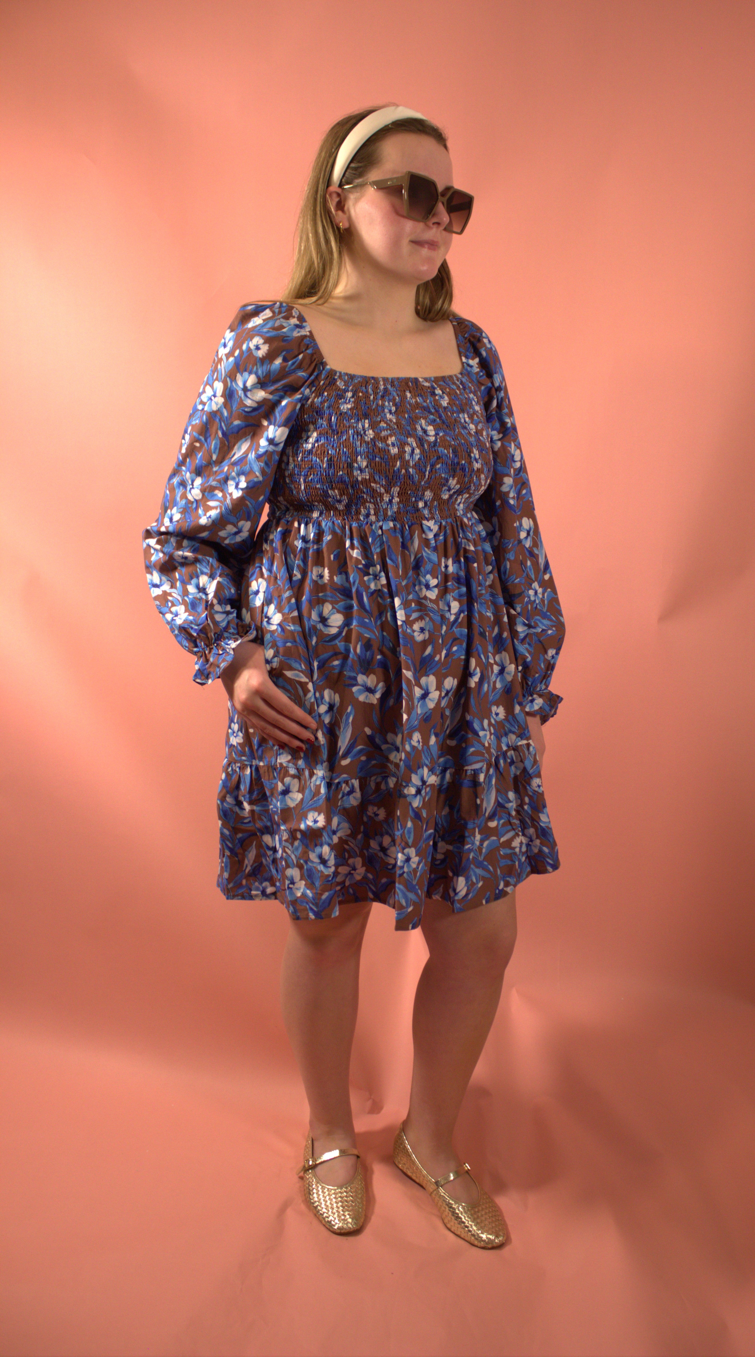 Blue and Brown Dress